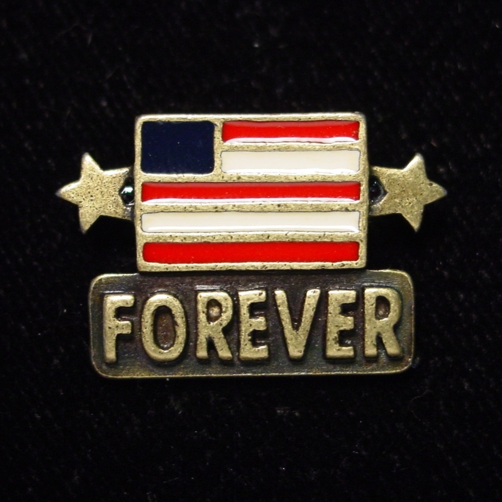 COPY - 🌸 3/$12 🐝 ‘FOREVER’ American Flag Tack Pin